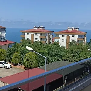 Soylu , ترابزون تركيا